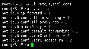 图片[3]-KIMSUFI使用proxmox开【IPv4nat+IPv6】小鸡-科技密码